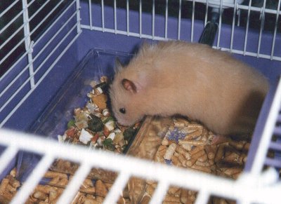 Digging for the best bit