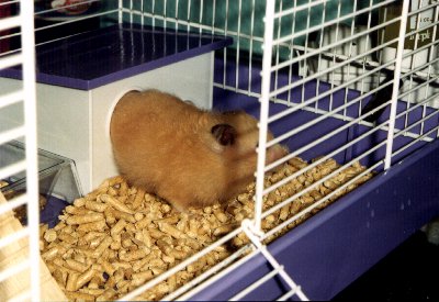 Exiting the house after inspection